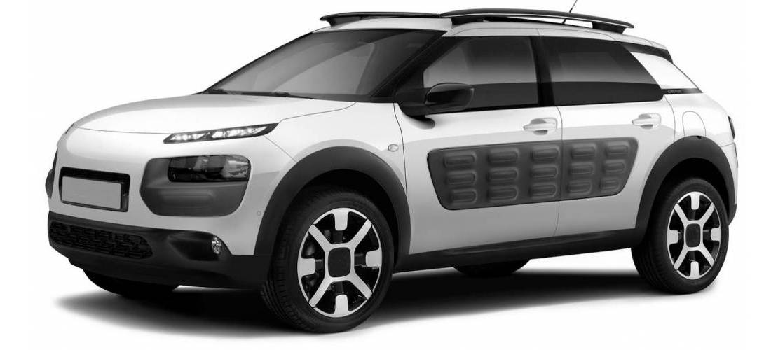 C4 CACTUS (06/2014 » 03/2018)