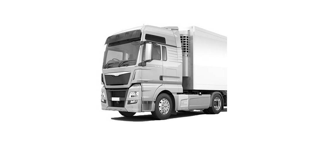 TGX EURO 6 (2014 » )